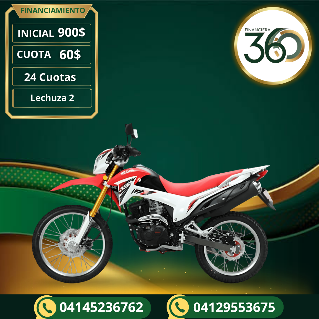 Lechuza 2